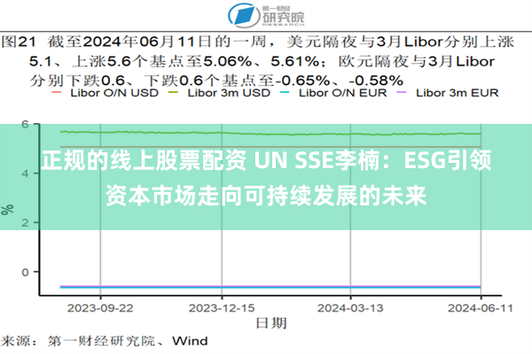 正规的线上股票配资 UN SSE李楠：ESG引领资本市场走向可持续发展的未来