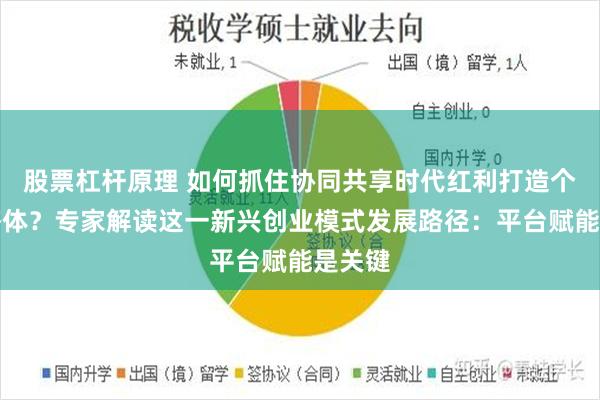 股票杠杆原理 如何抓住协同共享时代红利打造个人经济体？专家解读这一新兴创业模式发展路径：平台赋能是关键