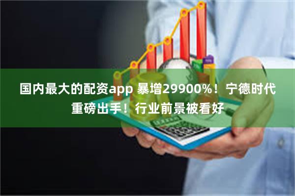 国内最大的配资app 暴增29900%！宁德时代重磅出手！行业前景被看好