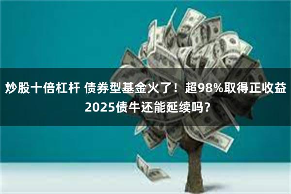 炒股十倍杠杆 债券型基金火了！超98%取得正收益 2025债牛还能延续吗？