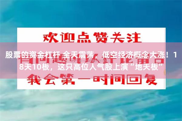 股票的资金杠杆 全天震荡，低空经济概念大涨！18天10板，这只高位人气股上演“地天板”