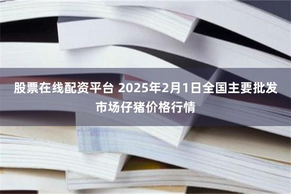 股票在线配资平台 2025年2月1日全国主要批发市场仔猪价格行情