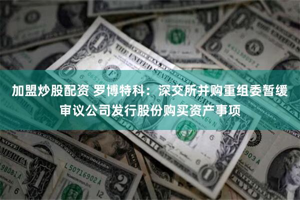 加盟炒股配资 罗博特科：深交所并购重组委暂缓审议公司发行股份购买资产事项