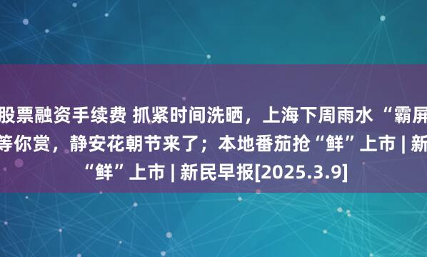 股票融资手续费 抓紧时间洗晒，上海下周雨水 “霸屏”；百万株郁金香等你赏，静安花朝节来了；本地番茄抢“鲜”上市 | 新民早报[2025.3.9]