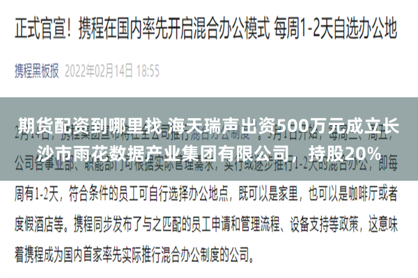 期货配资到哪里找 海天瑞声出资500万元成立长沙市雨花数据产业集团有限公司，持股20%