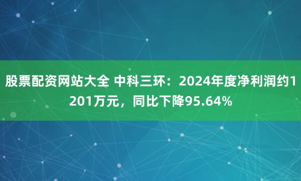 股票配资网站大全 中科三环：2024年度净利润约1201万元，同比下降95.64%