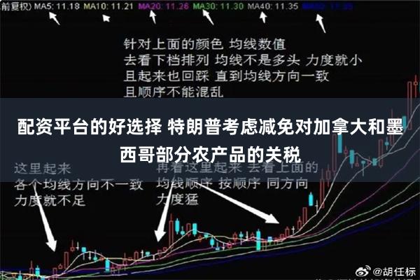 配资平台的好选择 特朗普考虑减免对加拿大和墨西哥部分农产品的关税