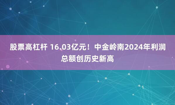 股票高杠杆 16.03亿元！中金岭南2024年利润总额创历史新高