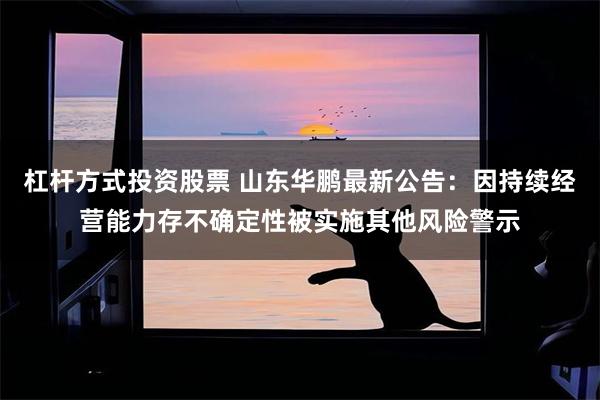 杠杆方式投资股票 山东华鹏最新公告：因持续经营能力存不确定性被实施其他风险警示