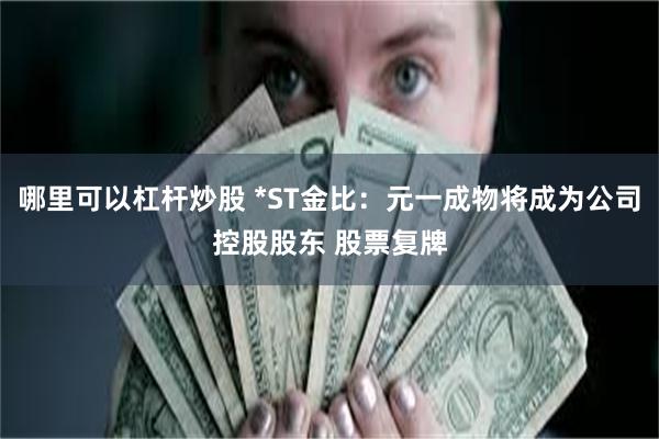 哪里可以杠杆炒股 *ST金比：元一成物将成为公司控股股东 股票复牌