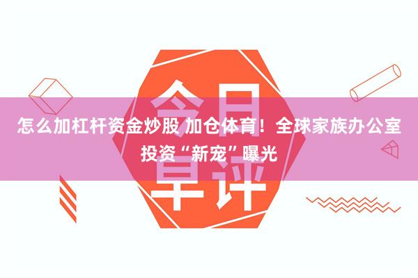 怎么加杠杆资金炒股 加仓体育！全球家族办公室投资“新宠”曝光